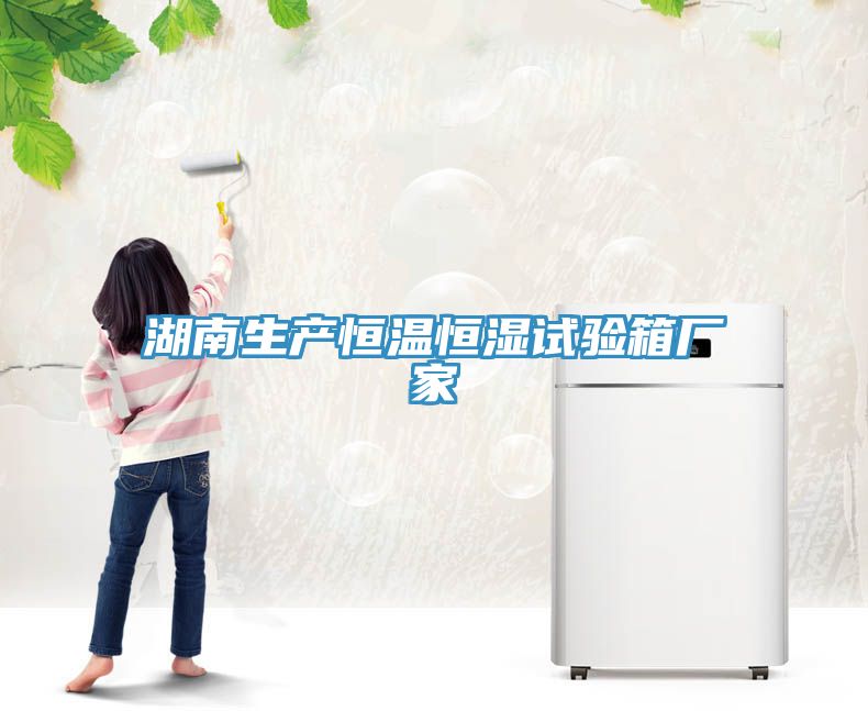 湖南生產(chǎn)恒溫恒濕試驗箱廠(chǎng)家
