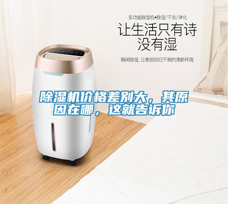 除濕機價(jià)格差別大，其原因在哪，這就告訴你