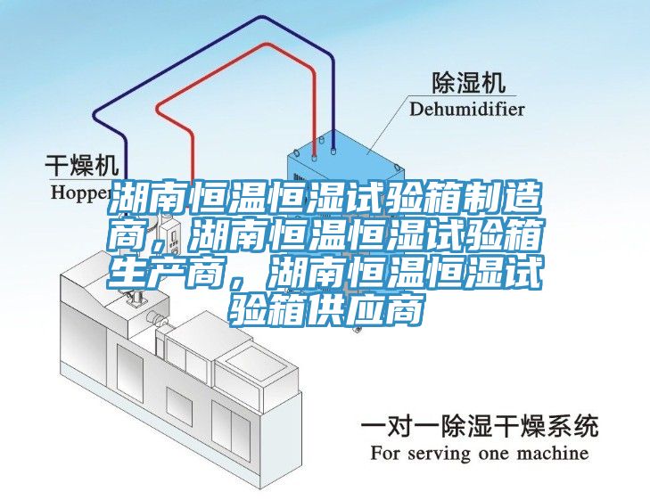 湖南恒溫恒濕試驗箱制造商，湖南恒溫恒濕試驗箱生產(chǎn)商，湖南恒溫恒濕試驗箱供應商