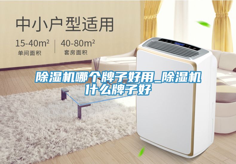 除濕機哪個(gè)牌子好用_除濕機什么牌子好
