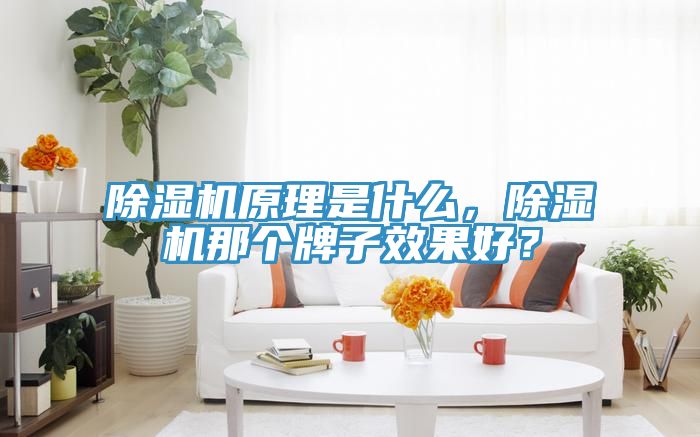除濕機原理是什么，除濕機那個(gè)牌子效果好？