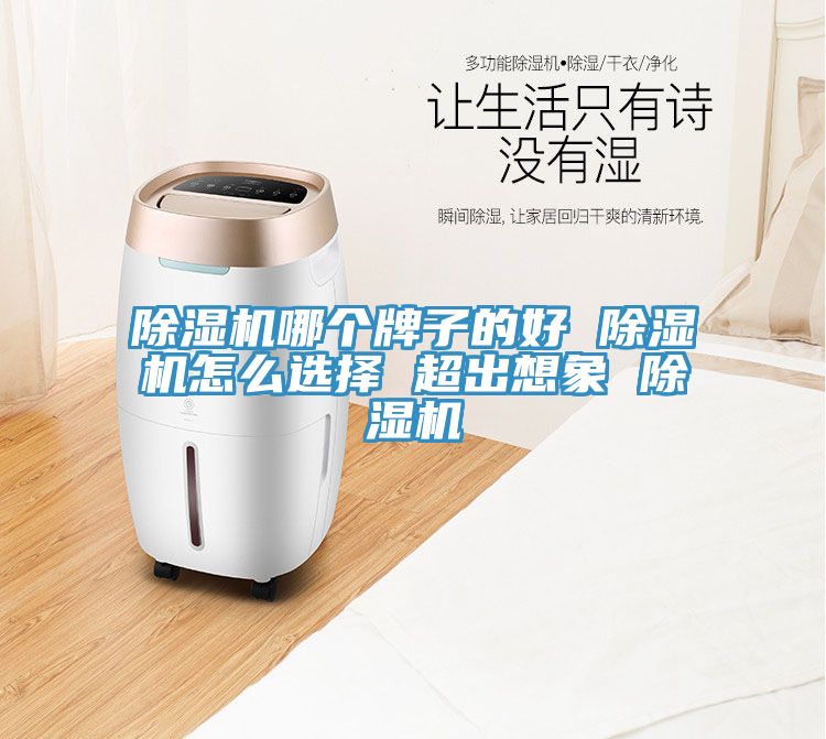 除濕機哪個(gè)牌子的好 除濕機怎么選擇 超出想象 除濕機