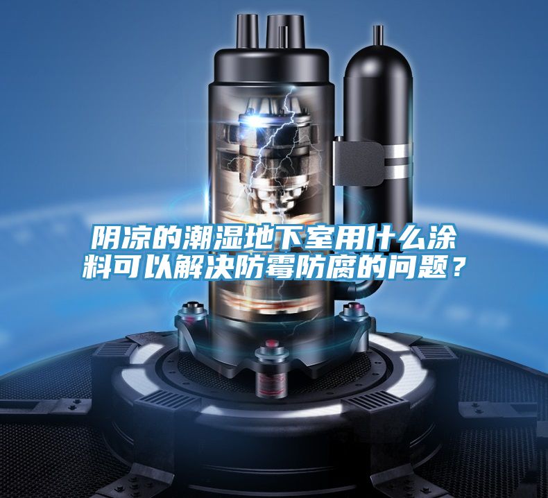 陰涼的潮濕地下室用什么涂料可以解決防霉防腐的問(wèn)題？