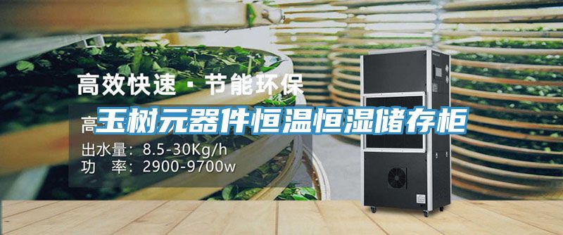 玉樹(shù)元器件恒溫恒濕儲存柜