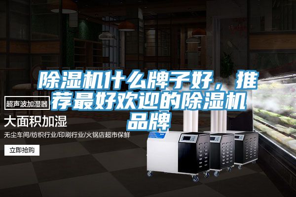 除濕機什么牌子好，推薦最好歡迎的除濕機品牌