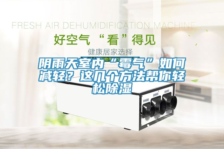 陰雨天室內“霉氣”如何減輕？這幾個(gè)方法幫你輕松除濕