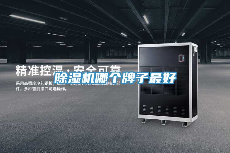 除濕機哪個(gè)牌子最好