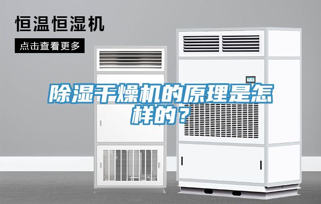 除濕干燥機的原理是怎樣的？