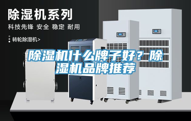 除濕機什么牌子好？除濕機品牌推薦