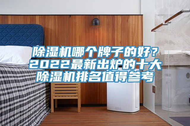 除濕機哪個(gè)牌子的好？2022最新出爐的十大除濕機排名值得參考