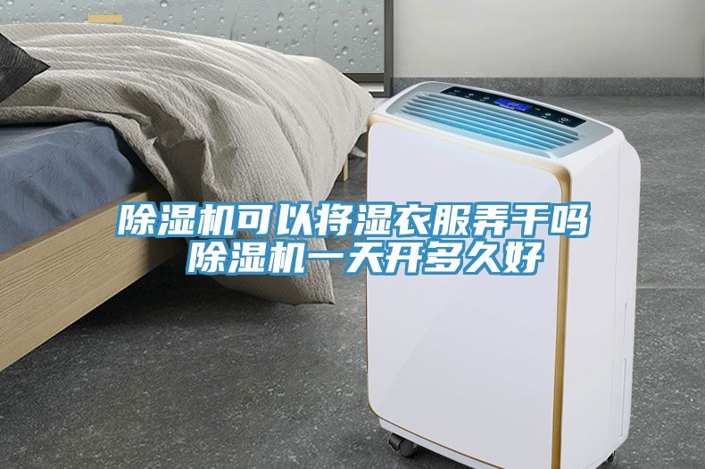 除濕機可以將濕衣服弄干嗎 除濕機一天開(kāi)多久好