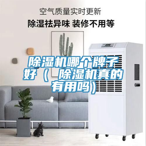 除濕機哪個(gè)牌子好（ 除濕機真的有用嗎）
