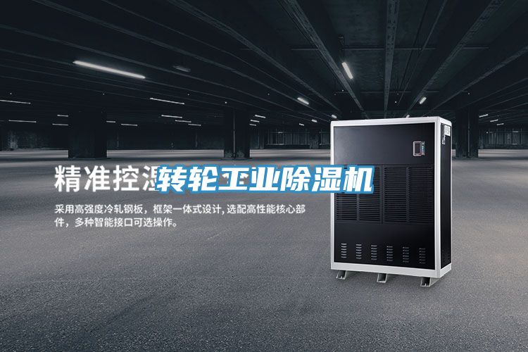 轉輪工業(yè)除濕機