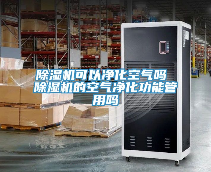 除濕機可以?xún)艋諝鈫?除濕機的空氣凈化功能管用嗎