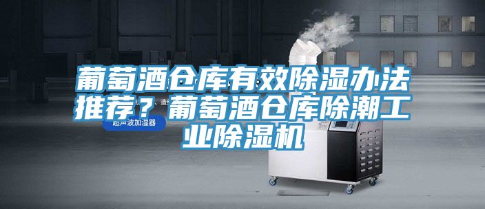 葡萄酒倉庫有效除濕辦法推薦？葡萄酒倉庫除潮工業(yè)除濕機