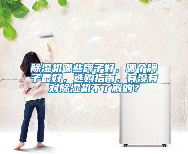 除濕機哪些牌子好，哪個(gè)牌子最好，選購指南，有沒(méi)有對除濕機不了解的？