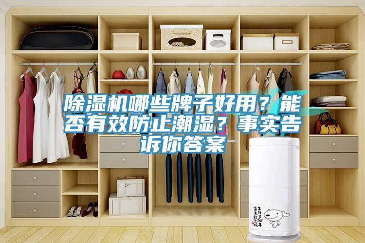 除濕機哪些牌子好用？能否有效防止潮濕？事實(shí)告訴你答案