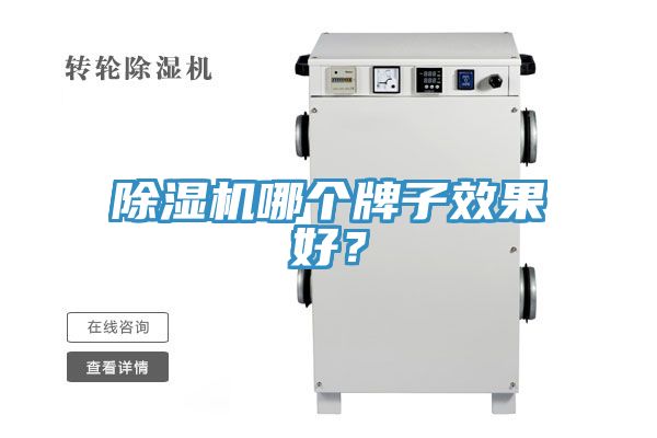 除濕機哪個(gè)牌子效果好？