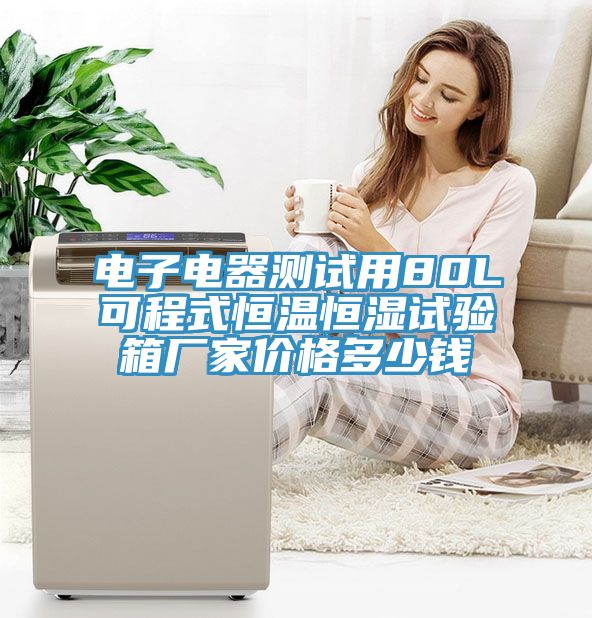 電子電器測試用80L可程式恒溫恒濕試驗箱廠(chǎng)家價(jià)格多少錢(qián)