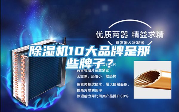 除濕機10大品牌是那些牌子？