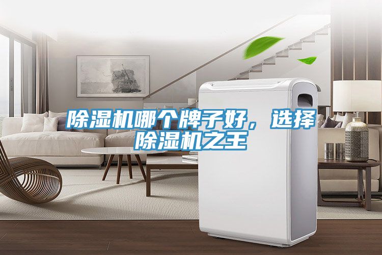 除濕機哪個(gè)牌子好，選擇除濕機之王