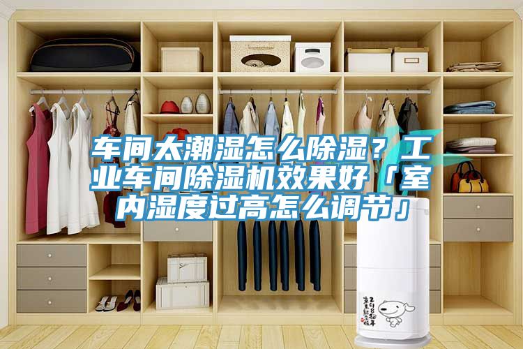 車(chē)間太潮濕怎么除濕？工業(yè)車(chē)間除濕機效果好「室內濕度過(guò)高怎么調節」