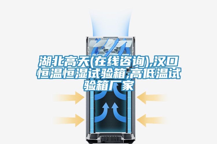 湖北高天(在線(xiàn)咨詢(xún)),漢口恒溫恒濕試驗箱,高低溫試驗箱廠(chǎng)家