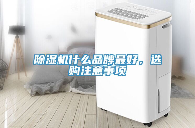 除濕機什么品牌最好，選購注意事項