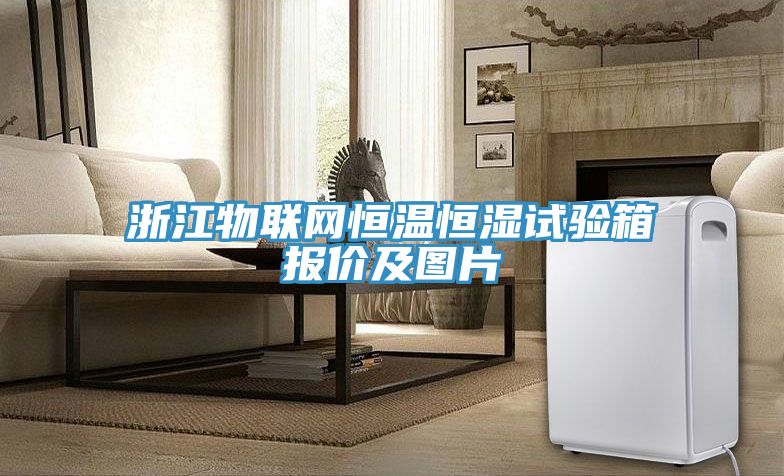 浙江物聯(lián)網(wǎng)恒溫恒濕試驗箱報價(jià)及圖片