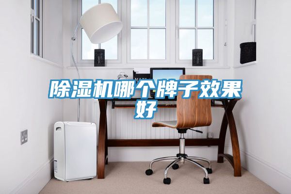 除濕機哪個(gè)牌子效果好