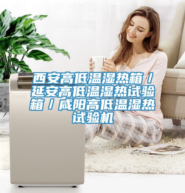 西安高低溫濕熱箱／延安高低溫濕熱試驗箱／咸陽(yáng)高低溫濕熱試驗機