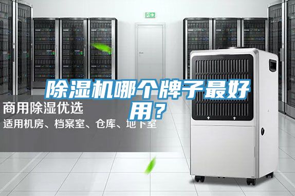 除濕機哪個(gè)牌子最好用？