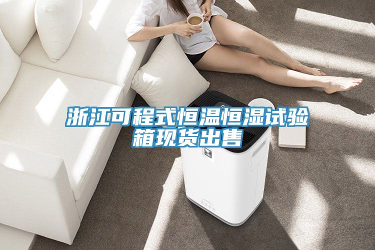 浙江可程式恒溫恒濕試驗箱現貨出售