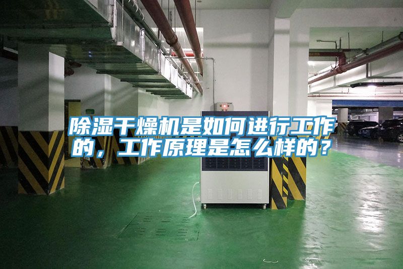 除濕干燥機是如何進(jìn)行工作的，工作原理是怎么樣的？