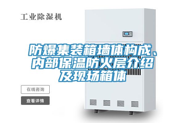 防爆集裝箱墻體構成、內部保溫防火層介紹及現場(chǎng)箱體