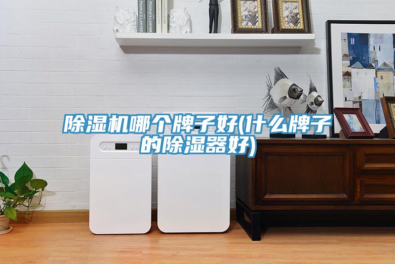除濕機哪個(gè)牌子好(什么牌子的除濕器好)