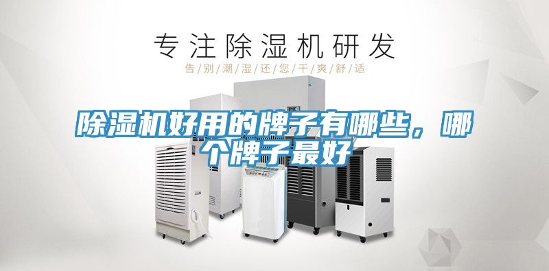 除濕機好用的牌子有哪些，哪個(gè)牌子最好