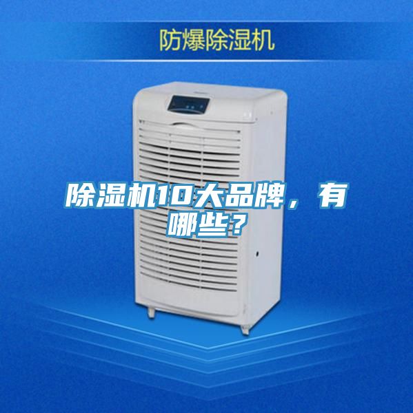 除濕機10大品牌，有哪些？