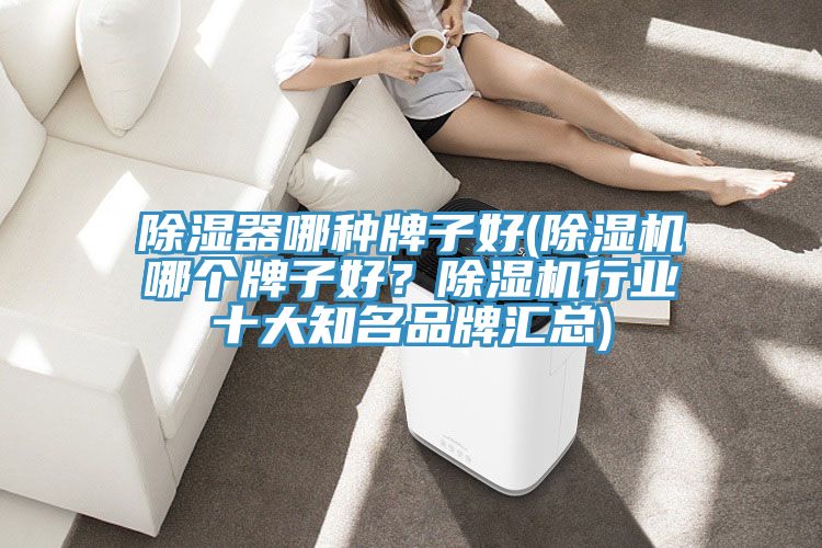 除濕器哪種牌子好(除濕機哪個(gè)牌子好？除濕機行業(yè)十大知名品牌匯總)