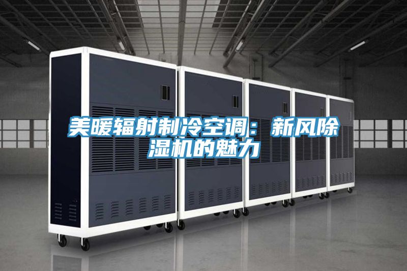 美暖輻射制冷空調：新風(fēng)除濕機的魅力