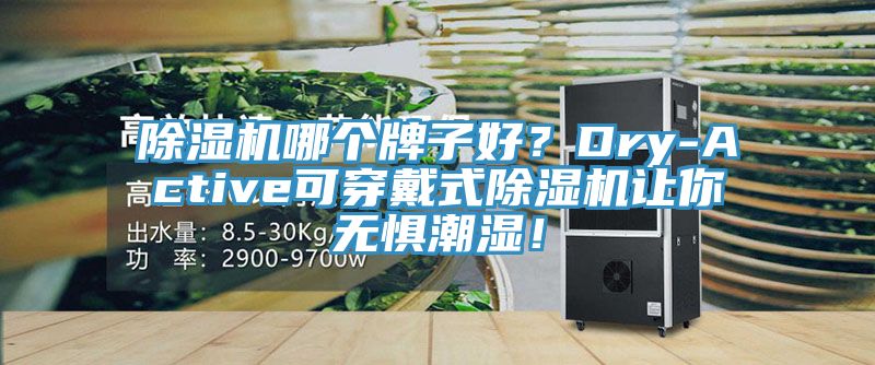 除濕機哪個(gè)牌子好？Dry-Active可穿戴式除濕機讓你無(wú)懼潮濕！