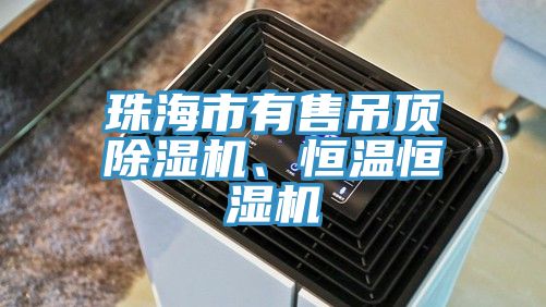 珠海市有售吊頂除濕機、恒溫恒濕機