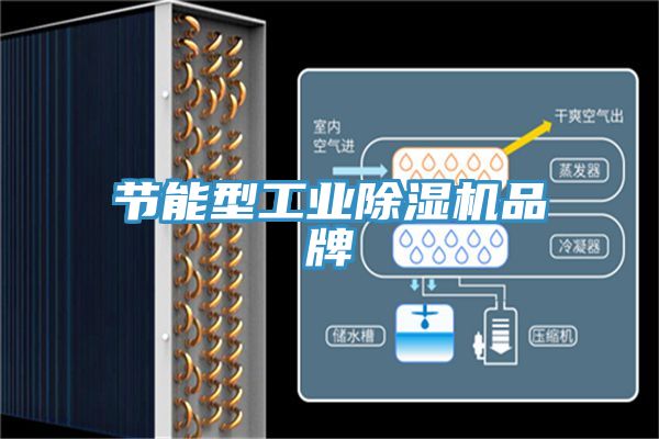 節能型工業(yè)除濕機品牌