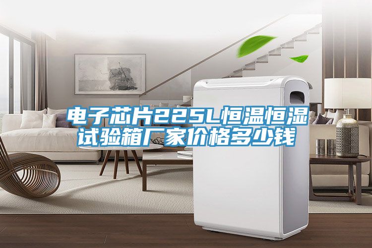 電子芯片225L恒溫恒濕試驗箱廠(chǎng)家價(jià)格多少錢(qián)