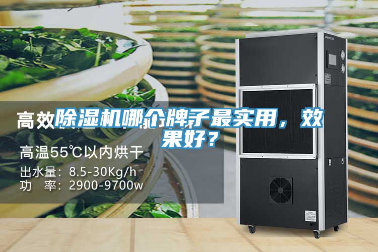 除濕機哪個(gè)牌子最實(shí)用，效果好？