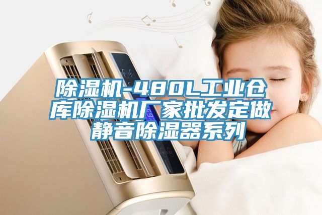 除濕機-480L工業(yè)倉庫除濕機廠(chǎng)家批發(fā)定做 靜音除濕器系列