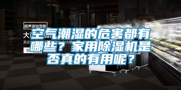 空氣潮濕的危害都有哪些？家用除濕機是否真的有用呢？
