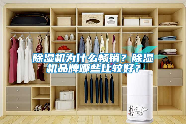 除濕機為什么暢銷(xiāo)？除濕機品牌哪些比較好？