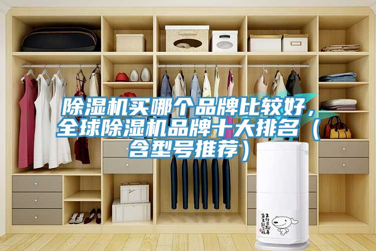 除濕機買(mǎi)哪個(gè)品牌比較好，全球除濕機品牌十大排名（含型號推薦）