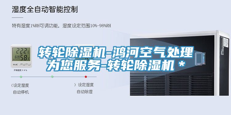 轉輪除濕機-鴻河空氣處理為您服務(wù)-轉輪除濕機＊